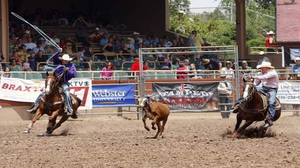 FloSports to Air 5 FloRodeo Events